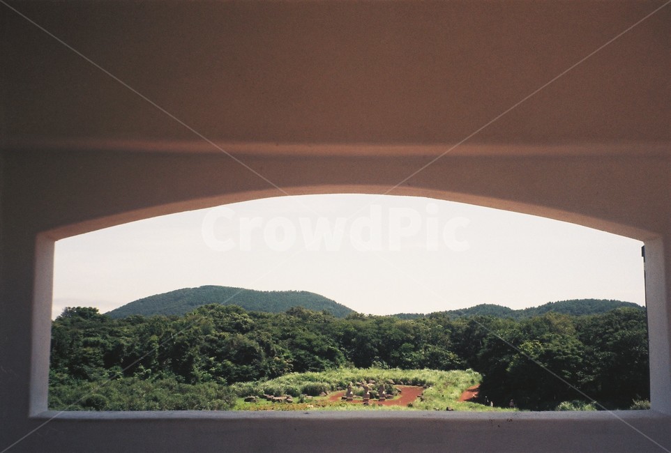 제주,필름,필카,자연,풍경