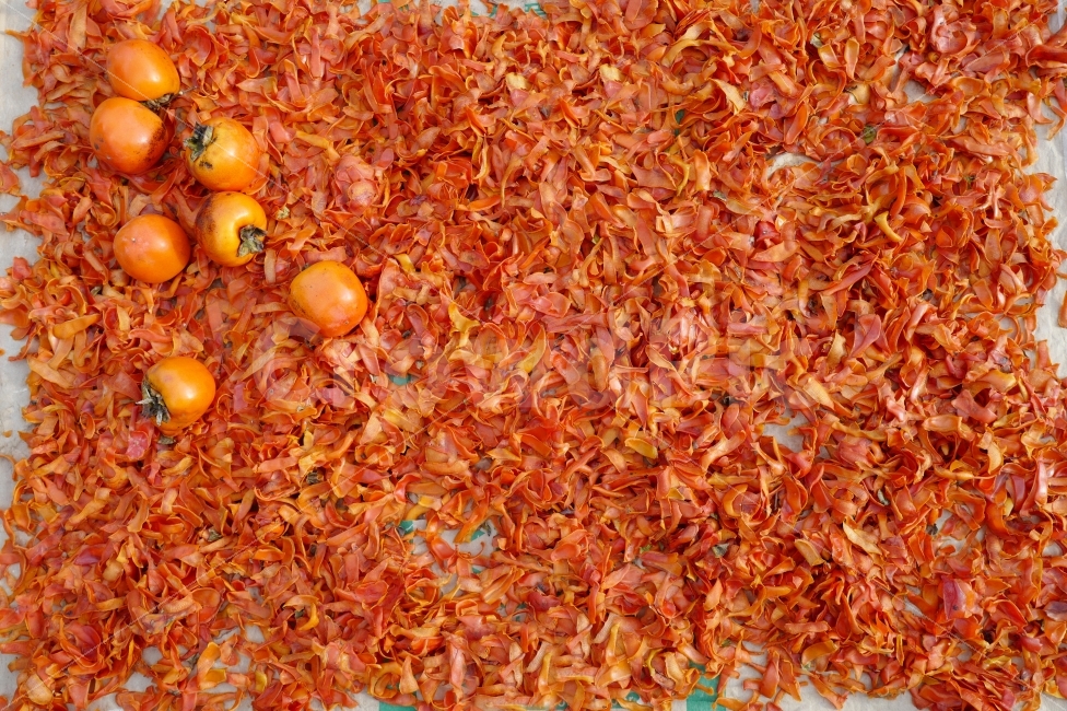 감,홍시,감나무,가을걷이,시골풍경,시골,전원생활,감껍질,가을,계절,fall,autumn,season,음식,식재료,요리,food,cook,meal,dishes,food reserves,과일,열매,fruit,plant,식물