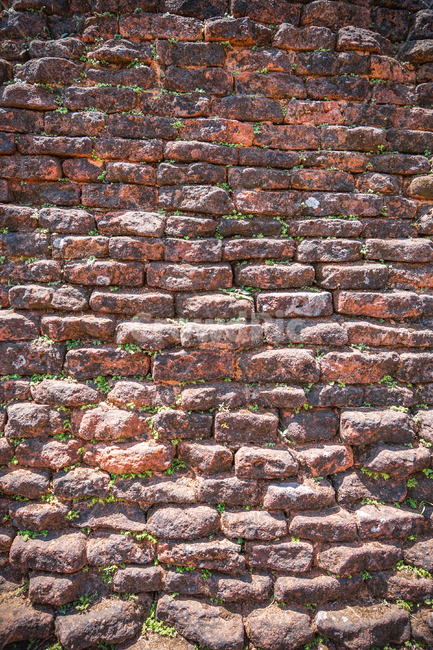 돌,벽돌,붉은,흑벽돌,풀,건축물,건물외관,exterior,building,structure,architecture,construction