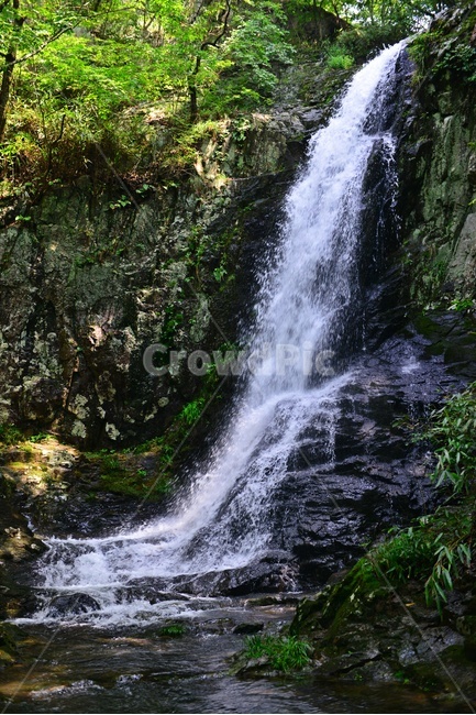 water,물,강,nature,자연,outdoors,옥외,waterfall,폭포,담양,용연계곡,계곡,stream,흐름,물흐름,여름,계절,피서지