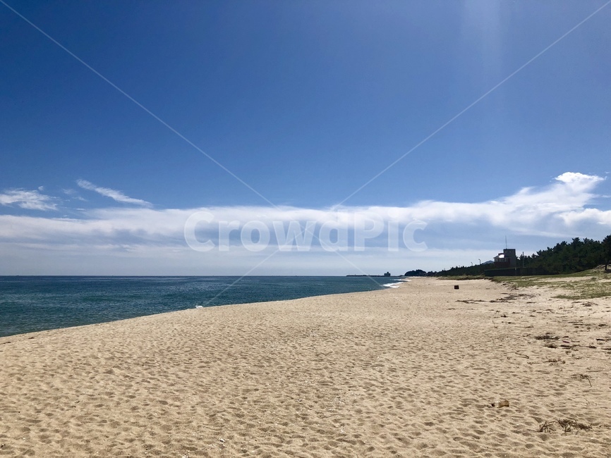 바다,하늘,모래사장,숲,한국,해변,자연,풍경,nature,landscape,해변,바다,beach,sea,shoreline,해안선,water,물,ocean,대양,outdoors,옥외,land,땅,coast,연안,바닷가