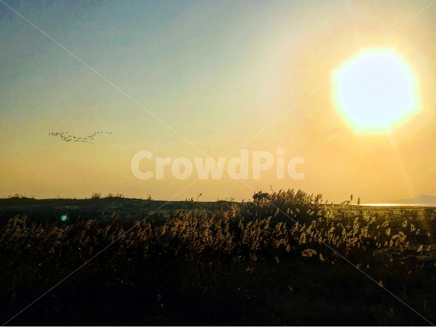 다대포,노을,해질녘,sunset,dadaepo,beach,자연,풍경,nature,landscape,light,빛,flare,플레어,sunlight,햇빛,outdoors,옥외