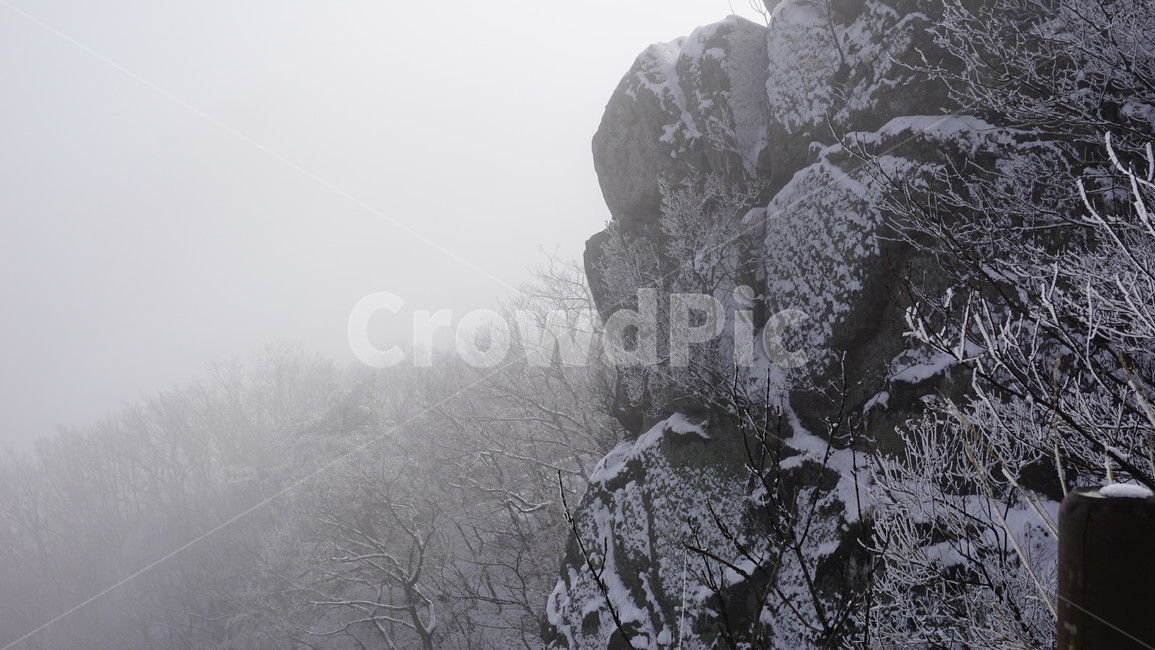 눈꽃,산,나무,눈,바위