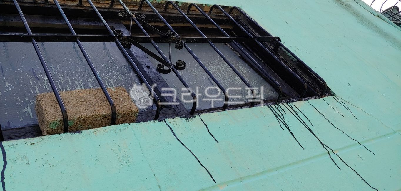 lattice,flowing down,Paint,brick,window,wall