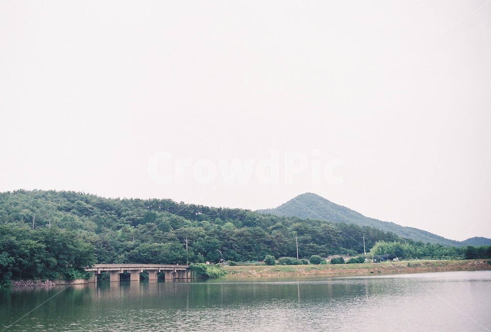 다리,길,필름,나무,저수지,배경화면