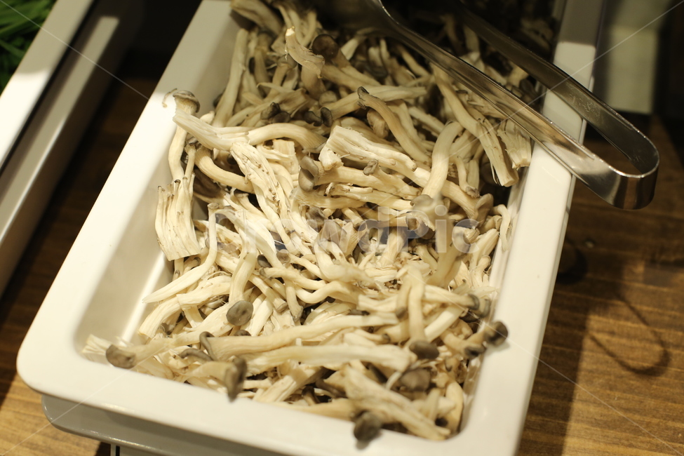 버섯,느타리,음식,푸드,뷔페,음식,식재료,요리,food,cook,meal,dishes,food reserves,채소,야채,vegetables