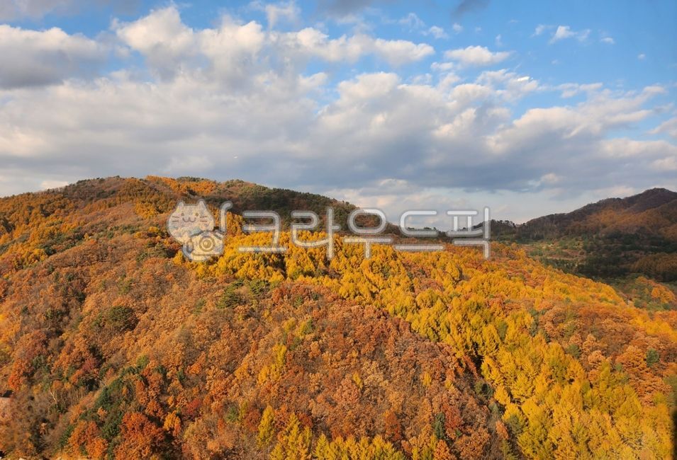 언덕, 자연, nature, 옥외, vegetation, 사진,이미지,일러스트,캘리그라피 - 도시 농군작가
