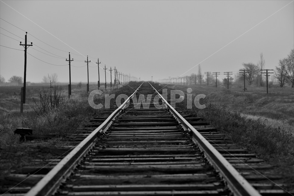 철도,안계,나무,배경,전선,흑백,모노톤,monochrome,black and white,교통,교통수단,traffic,transportation