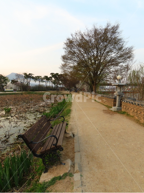 경기도,양수리,벤치,양평군,두물머리,석등,산책로,자연,풍경,nature,landscape,bench