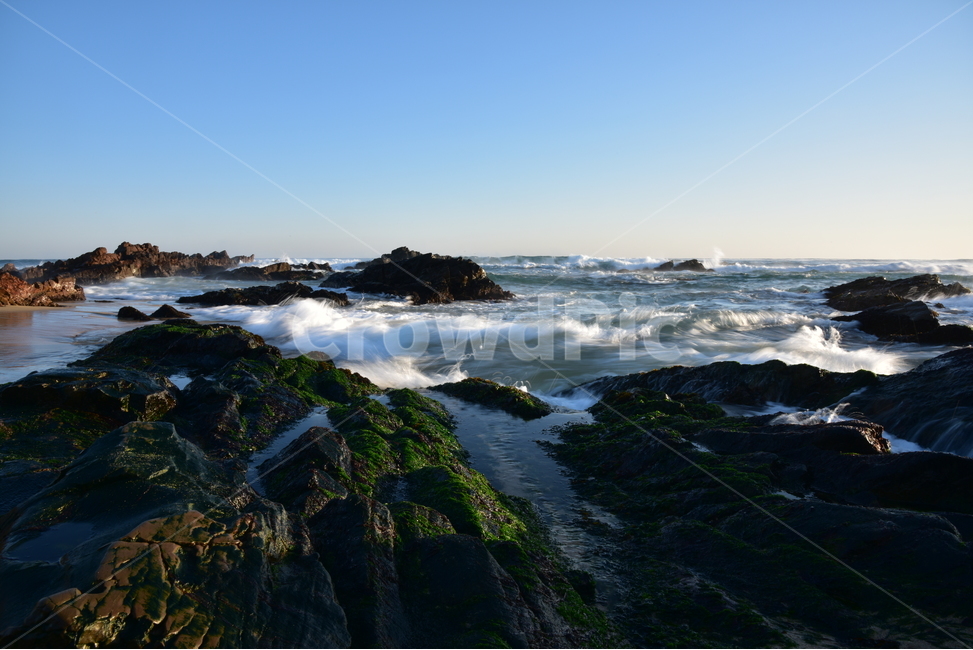 파도,물결,windwave,첨해파,해변,밀물,썰물,자연,풍경,nature,landscape,plant,식물,algae,조류