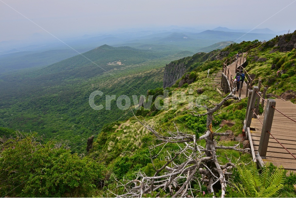 제주,한라산,한라산봄,봄,계절,영실,영실코스,오름,윗세오름,언덕,plant,식물,nature,자연,outdoors,옥외,경치,경관,풍경,비경,제주비경,제주봄,자연,풍경,nature,landscape