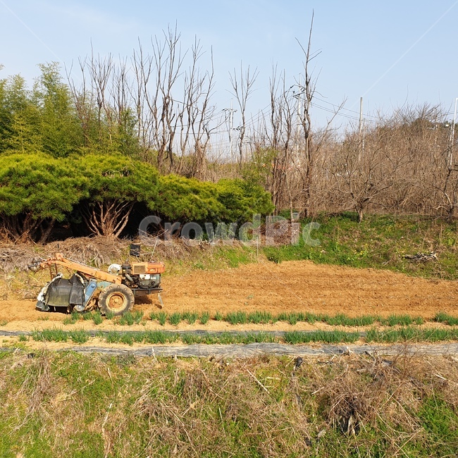 nature,자연,outdoors,텃밭,life