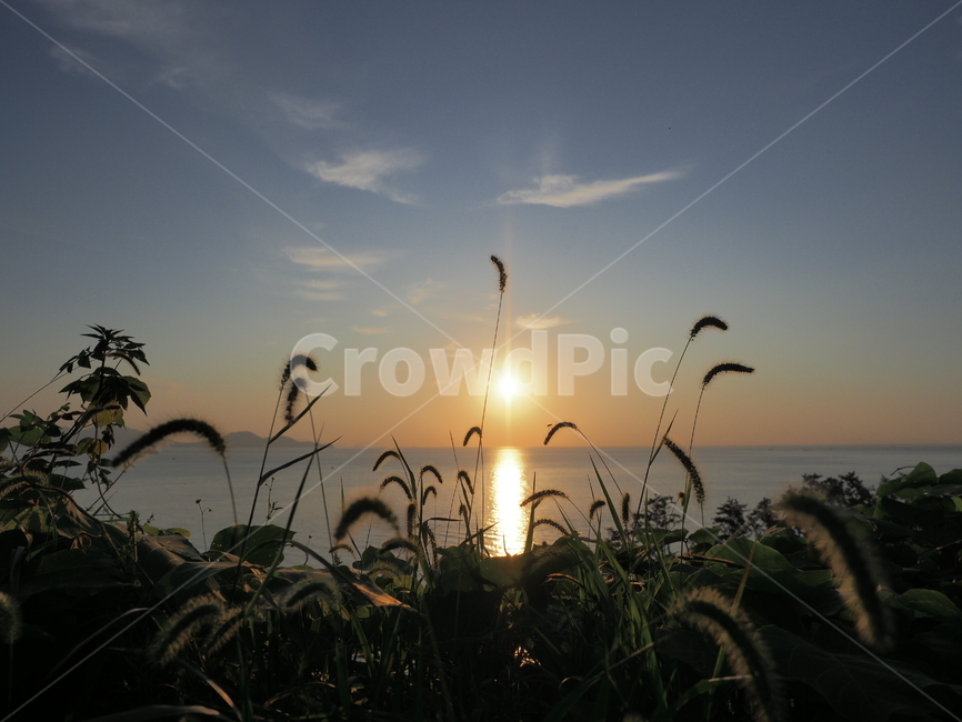 일출,flare,플레어,light,빛,outdoors,옥외,nature,자연,sunlight,햇빛