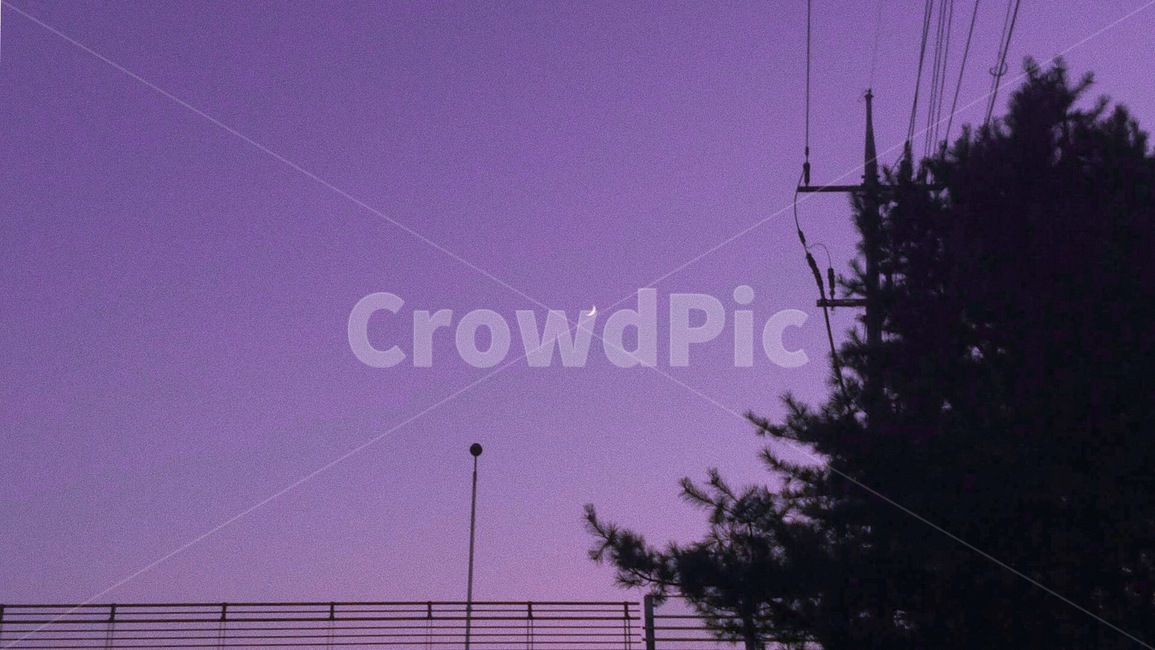 보라,달,감성,분위기,색감,야경,밤,풍경,nightscape,night,landscape,색깔,색상,색채,색감,color sense,color sensitivity,feeling of color