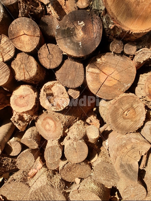 나무,장작,쌓여있는,오래된,시골,나무,trees,wood