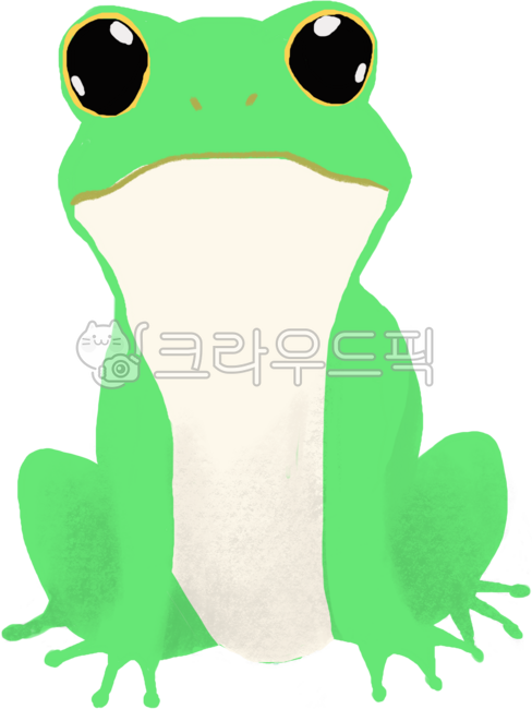 장마,여름,한여름,장마철,비,여름장마,태풍,주의사항,일기예보,기상,기상청,날씨,여름동물,양서류,개구리,초록개구리,초록색개구리,개구리일러스트,개구리캐릭터