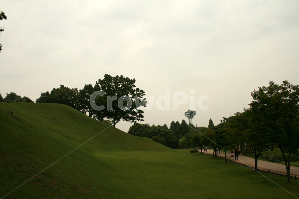 언덕,공원,길,잔디,초록,산책,여유,감성,자연,풍경,nature,landscape,field,들,outdoors,옥외,grassland,목초지