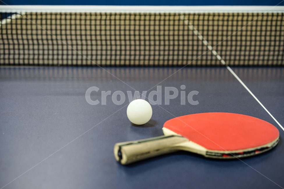 탁구,탁구대,스포츠,탁구라켓,탁구공,tabletennis,스포츠,레저,운동,sports,leisure,exercise,사물,물건,오브젝트,thing,object,matter
