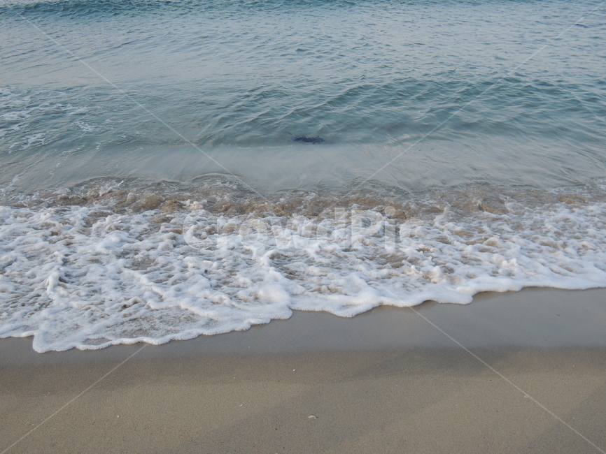 바다,해변,모래사장,바닷가,파도,모래,물결,수평선,바다배경,바닷물,풍경