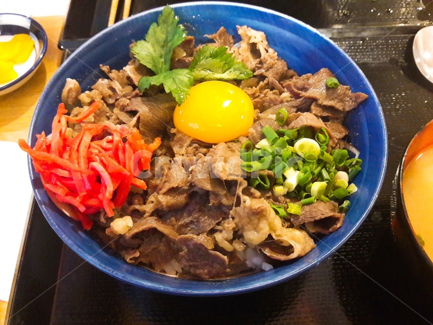규동,일본,일식,노른자,소고기