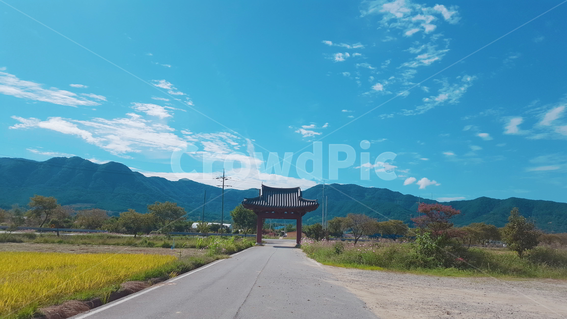 풍경,경치,문,자연,하늘,산,풀