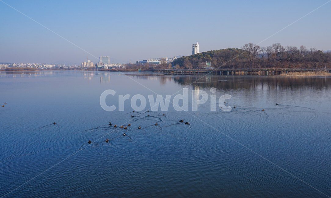 호수,여명,새,철새,물,동물,풍경,자연,풍경,nature,landscape,water,outdoors,옥외