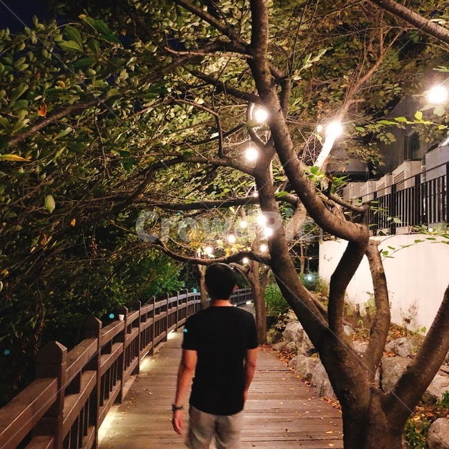 조명,카페,밤,길,가로수,나무,여름,힐링,밤공기,설램,야경,밤,풍경,nightscape,night,landscape,사람,인물,인간,human,person,남성,남자,man,male,path,통로,walkway,보도