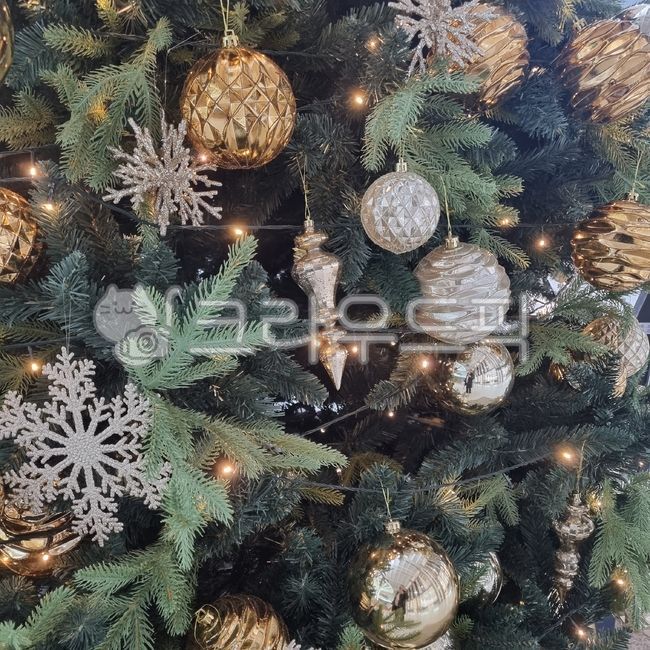 크리스마스트리장식품,christmastreeornaments,크리스마스트리,christmastree,크리스마스장식들,christmasdecorations,크리스마스,christmas
