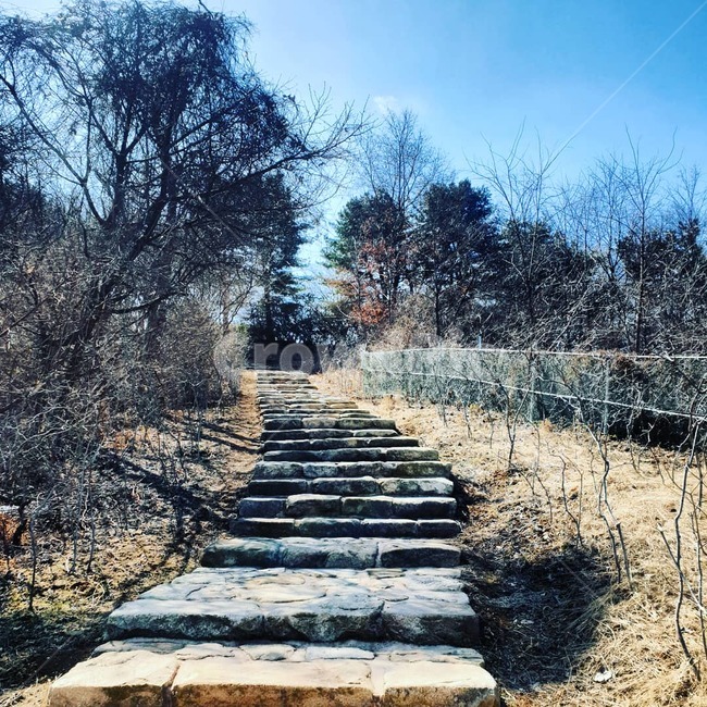 path,통로,돌길,계단,돌계단