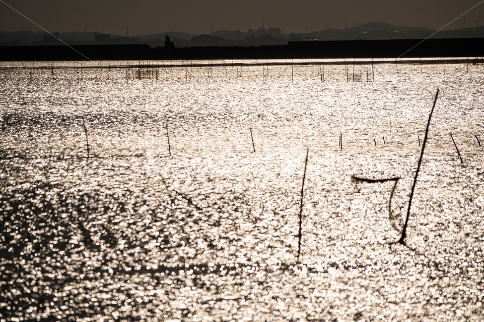 바다,서해,노을,물,물결,자연,풍경,nature,landscape