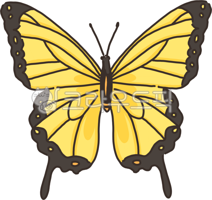butterfly,나비그림,나비일러스트,나비png,나비일러스트png,나비그림png,나비,곤충,곤충일러스트,곤충일러스트png,곤충그림,곤충그림png,곤충png,자연,날개,날개일러스트,자연일러스트,자연그림,자연png,날개png,호랑나비,호랑나비그림,호랑나비png,호랑나비일러스트,호랑나비일러스트png,호랑나비그림png,노랑,노란색,노랑나비,노란나비