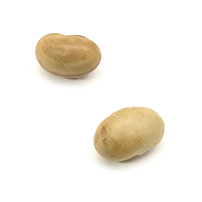 백태,서리태,콩,원두,땅콩,plant,식물,견과류,견과,알콩,갈라진,속,nut,너트,식품,food,콩류,견과류,beans,pulse,nuts,dry fruits