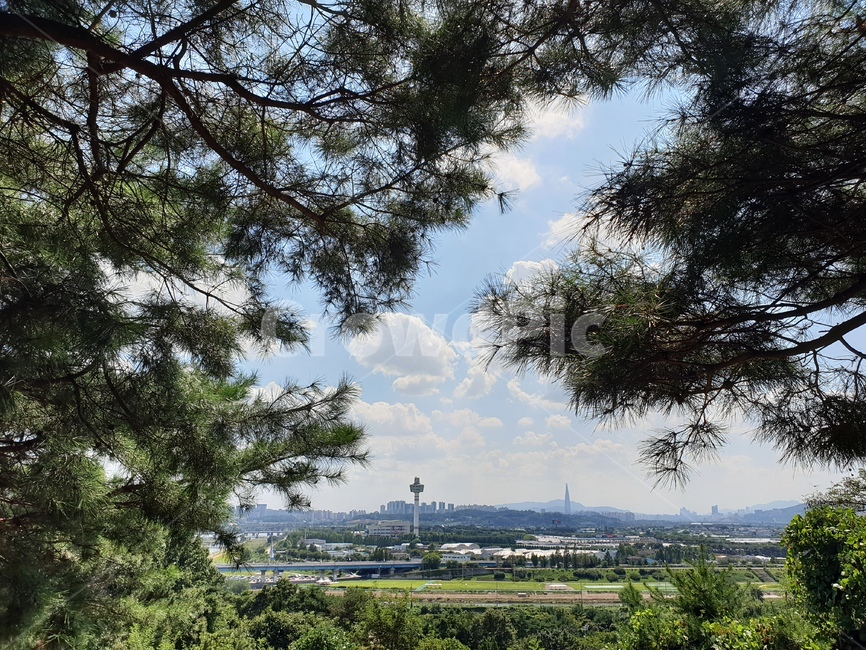 나무,구리,하늘,풍경,뒷동산