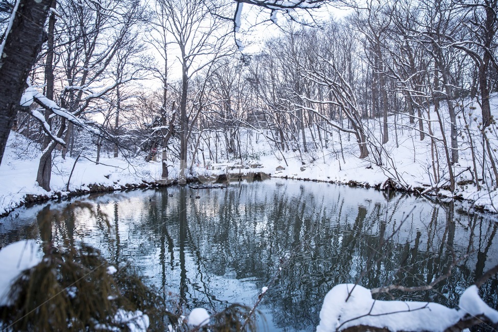 호수,눈,겨울,snow,자연,nature,겨울,계절,winter,season,자연,풍경,nature,landscape
