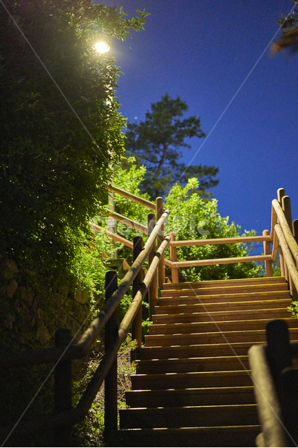 산책로,계단,나무계단,등산로,감성사진,응봉산,조명,야경,밤,풍경,nightscape,night,landscape,banister,난간,handrail