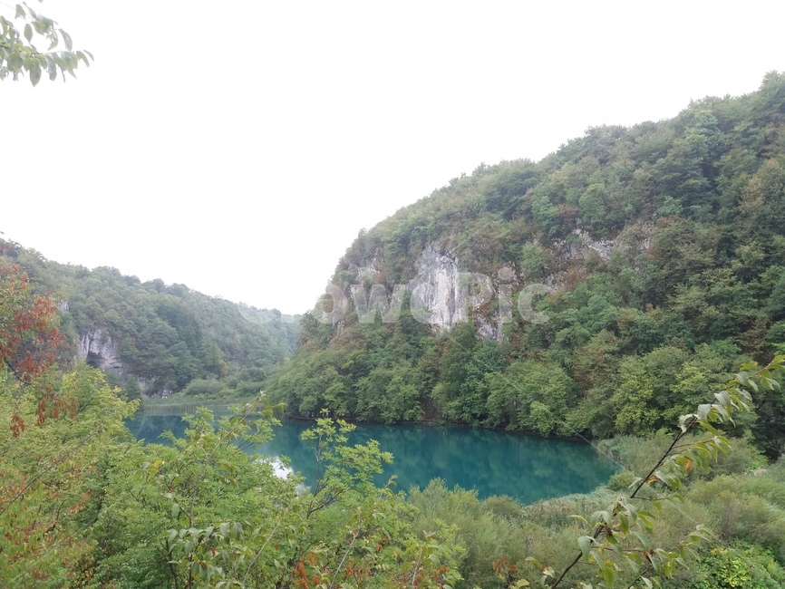 플리트비체,크로아티아,plitvicelakes,자연,nature,나무,호수,lake,croatia,옥외,공원,국립공원,힐링,산속,산,사람없음,자연,풍경,nature,landscape,해외,외국,세계,foreign,oversea,world,세계자연풍경,해외자연풍경,외국자연풍경,world nature landscape