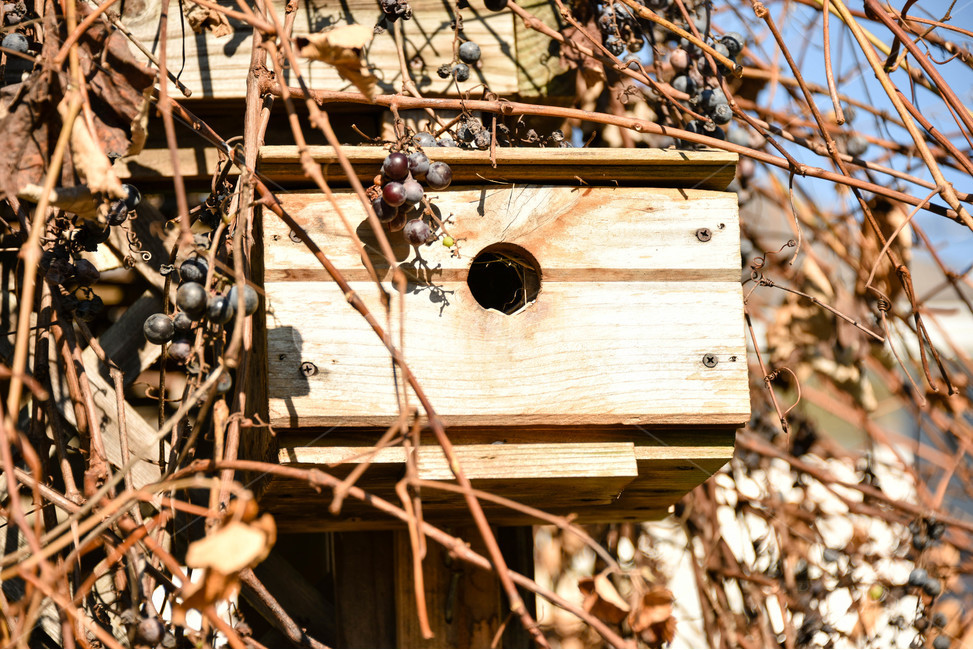 새집,birdhouse,나무새집,새둥지집,새둥지