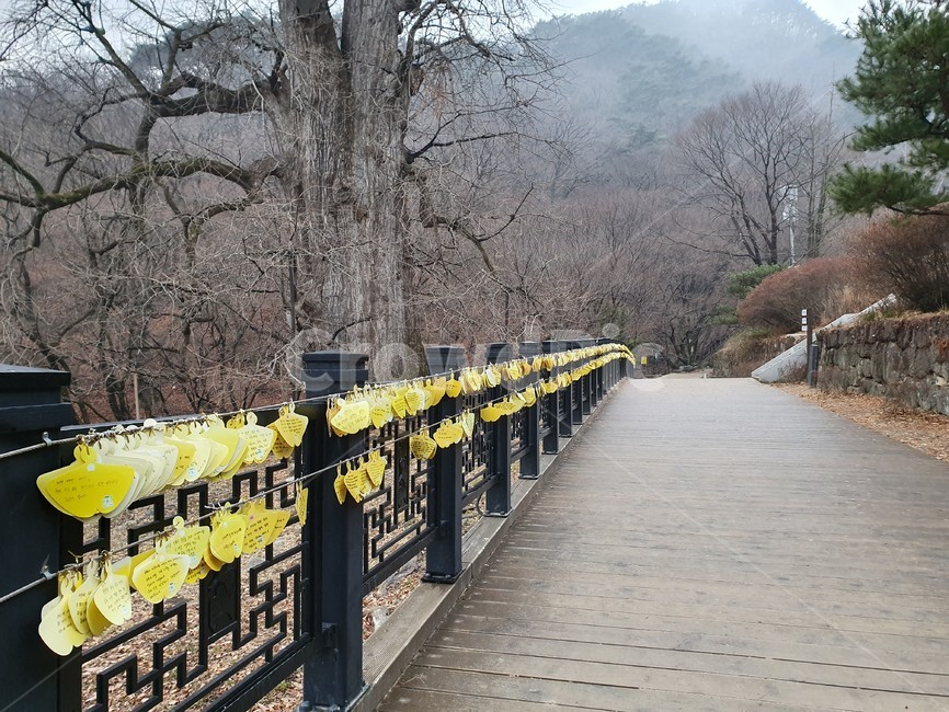 railing,handrail,banister,난간,용문사,산,소원,기도