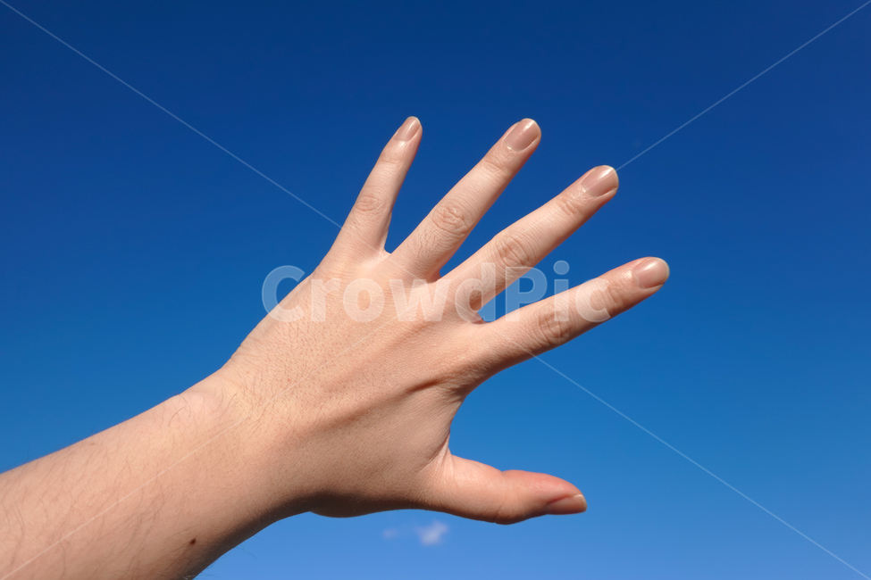 손,하늘,보자기,사람,희망,다섯,오,human,person,인간,구름,파란하늘