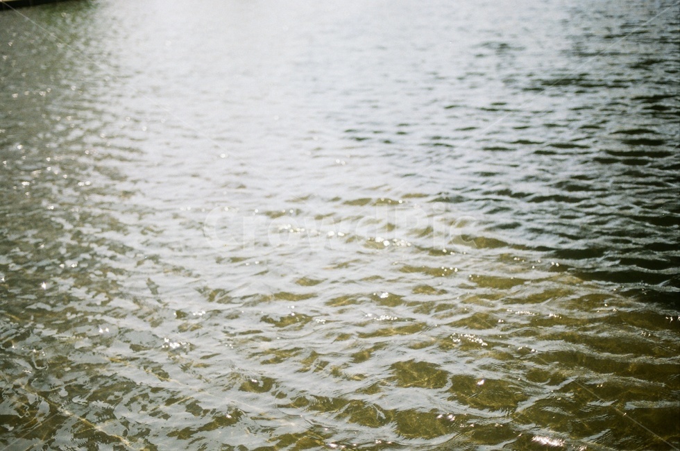 물,water,필름사진,필름,자연,nature,잔잔함,평온함,film,자연,풍경,nature,landscape