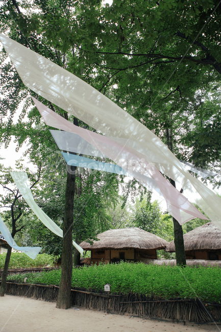 A long ago,Cultural Heritage,ancient architecture,old house,Folk Village,eaves,nature,Hanok,tile,house,Korean tradition