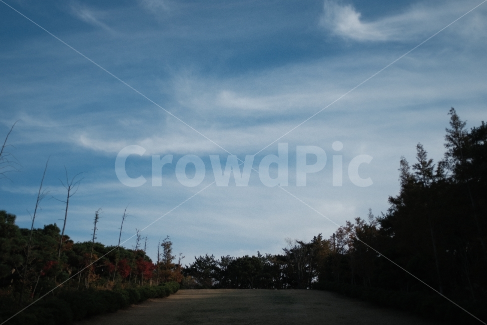 가을,하늘,단풍,풍경,파랑,가을,계절,fall,autumn,season,자연,풍경,nature,landscape,asphalt,아스팔트,road,도로