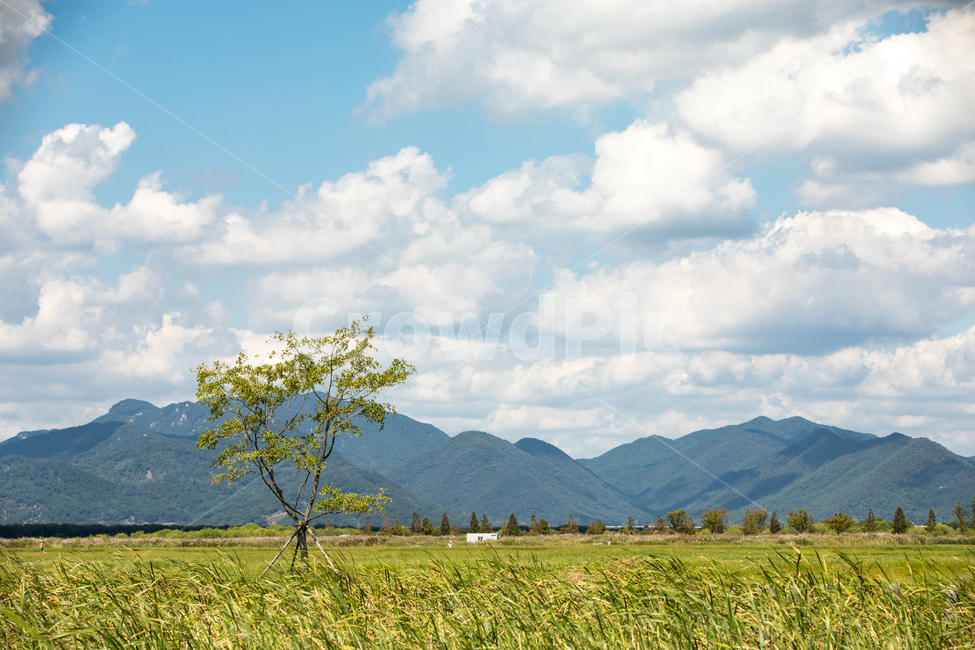 가을하늘,공원,하늘,구름,생태공원,자연,가을,자연,풍경,nature,landscape,outdoors,옥외,grassland,목초지,field,들