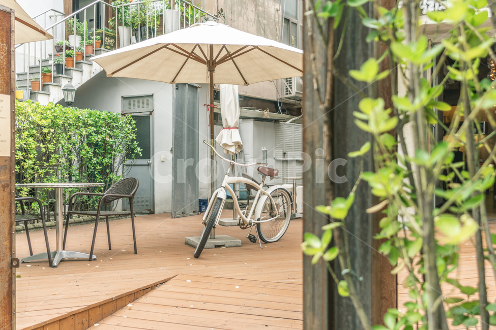 자전거,마당,bicycle,antique,bike,파라솔,계단,stairs