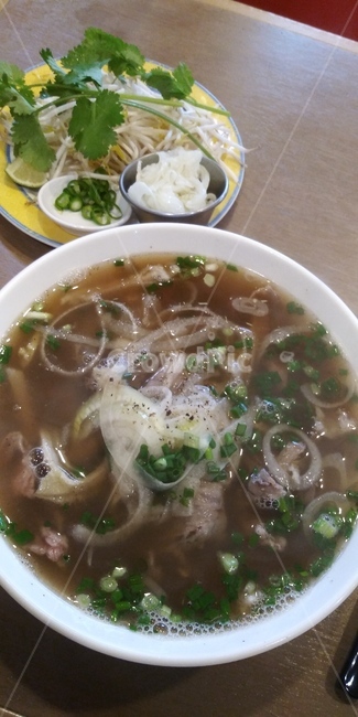 음식,쌀국수,베트남,베트남음식,고수