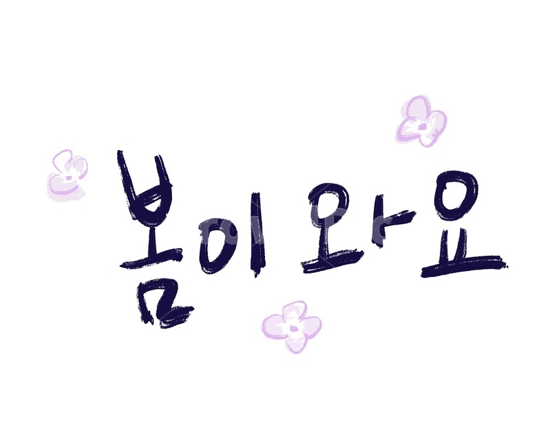 text,봄,spring,손글씨,캘리그라피,handwriting,본문