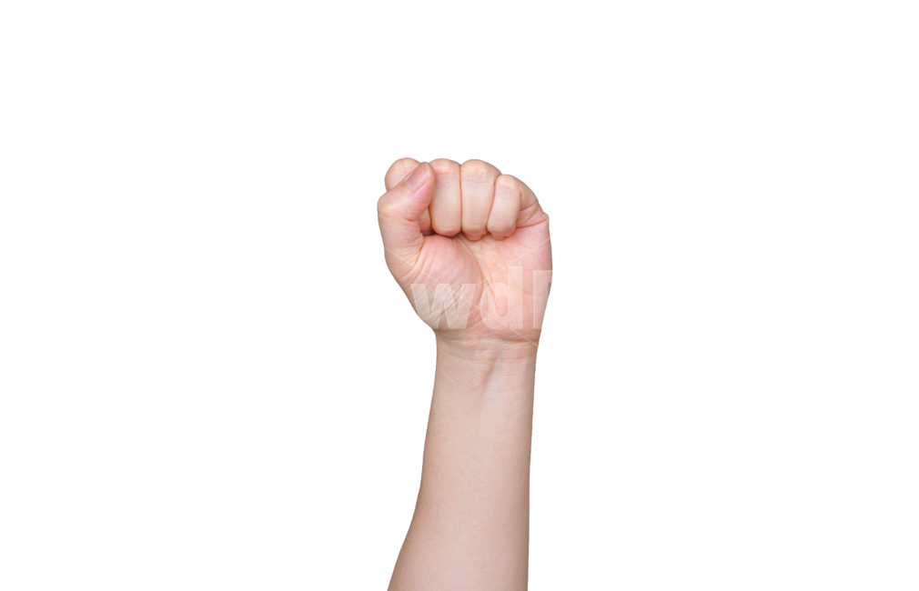 주먹,결의,승리,손,손가락,불끈,손동작,손모양,선동,손목,사인,바위,사람,인간,표현,표시,제스쳐,hand,의지,human,person,wrist,신체일부,몸,body