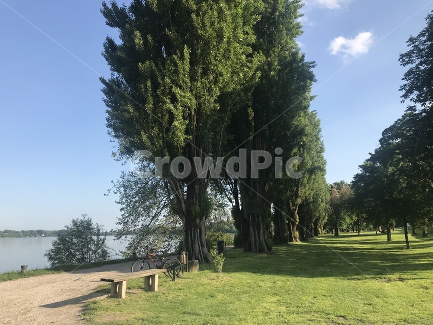 만토바,mantova,이탈리아,italy,italia,구름,공원,하늘,배경화면,nature,자연,소도시,나무,잔디,tree,벤치