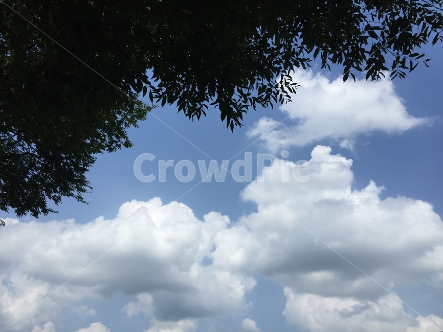 자연,outdoors,옥외,azuresky,푸른하늘,sky,하늘,nature