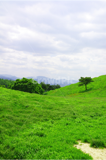 목장,초원,color,풍경,풍광,자연,nature,landscape,하늘,구름,자연,풍경,nature,landscape,한국자연풍경,한국자연경관,korea nature landscape,grassland,목초지,outdoors,옥외,field,들